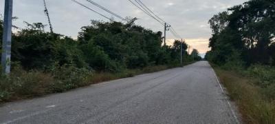 ที่ดิน 300000 ตาก บ้านตาก ตากตก