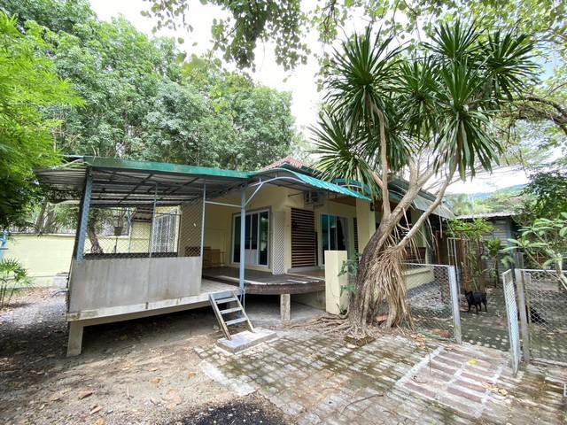 บ้านเดี่ยว 55000 ภูเก็ต ถลาง ศรีสุนทร บ้านเดี่ยว 55000 ภูเก็ต ถลาง ศรีสุนทร