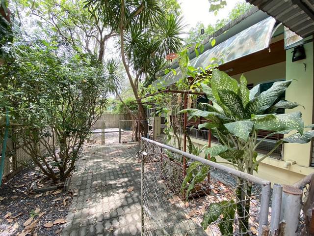 บ้านเดี่ยว 55000 ภูเก็ต ถลาง ศรีสุนทร บ้านเดี่ยว 55000 ภูเก็ต ถลาง ศรีสุนทร