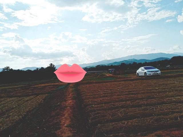 ที่ดิน 800000 น่าน ท่าวังผา ศรีภูมิ ที่ดิน 800000 น่าน ท่าวังผา ศรีภูมิ