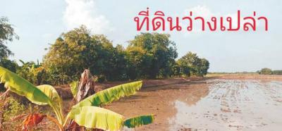 ที่ดิน 800000 ปทุมธานี ลาดหลุมแก้ว บ่อเงิน
