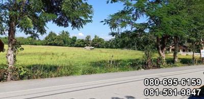 ที่ดิน 30000000 เชียงใหม่ สันกำแพง ห้วยทราย