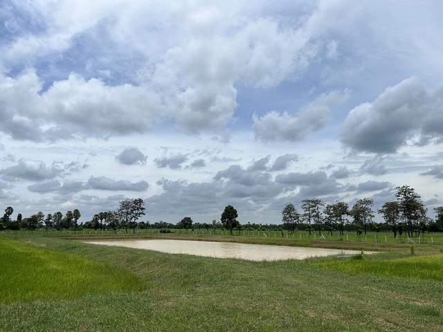 ที่ดิน 5500000 สุรินทร์ เมืองสุรินทร์ สำโรง ที่ดิน 5500000 สุรินทร์ เมืองสุรินทร์ สำโรง