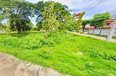 ที่ดิน 17489998 ชลบุรี บางละมุง บางละมุง