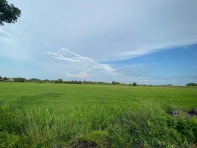 ที่ดิน 600000 ฉะเชิงเทรา บ้านโพธิ์ คลองบ้านโพธิ์