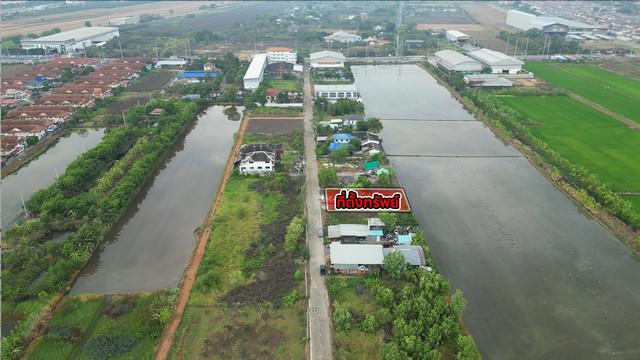 ที่ดิน 1900000 นนทบุรี ไทรน้อย ไทรน้อย ที่ดิน 1900000 นนทบุรี ไทรน้อย ไทรน้อย