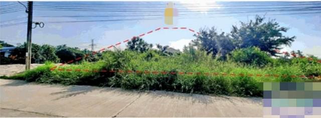 อาคารพาณิชย์ 13500000 นนทบุรี ไทรน้อย ขุนศรี อาคารพาณิชย์ 13500000 นนทบุรี ไทรน้อย ขุนศรี