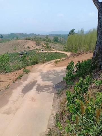 ที่ดิน 73400000 น่าน ทุ่งช้าง ปอน