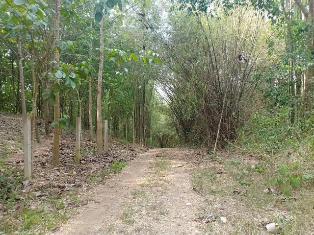 ที่ดิน 73400000 น่าน ทุ่งช้าง ปอน ที่ดิน 73400000 น่าน ทุ่งช้าง ปอน