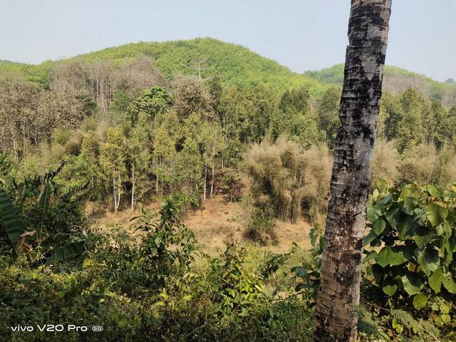 ที่ดิน 36500000 น่าน สันติสุข พงษ์ ที่ดิน 36500000 น่าน สันติสุข พงษ์
