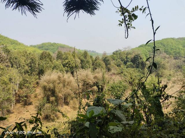ที่ดิน 36500000 น่าน สันติสุข พงษ์ ที่ดิน 36500000 น่าน สันติสุข พงษ์