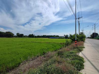 ที่ดิน 19000000 นครปฐม เมืองนครปฐม บ้านยาง