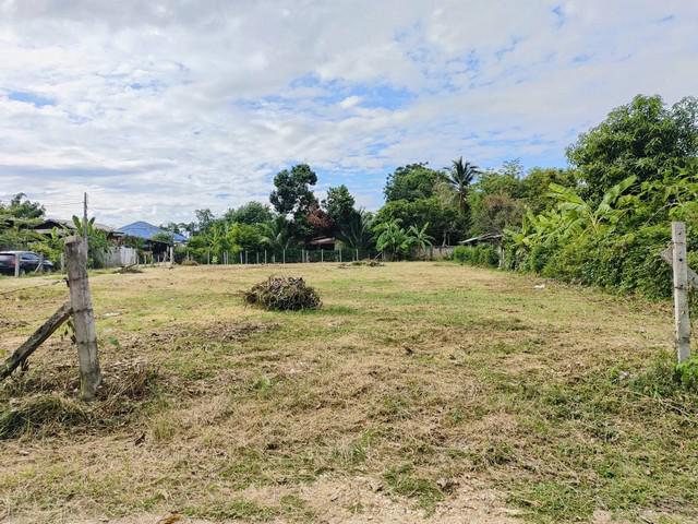 ที่ดิน 903000 ลำปาง เมืองลำปาง บ้านเป้า ที่ดิน 903000 ลำปาง เมืองลำปาง บ้านเป้า