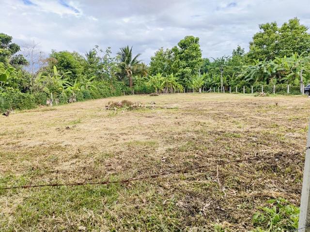 ที่ดิน 903000 ลำปาง เมืองลำปาง บ้านเป้า ที่ดิน 903000 ลำปาง เมืองลำปาง บ้านเป้า