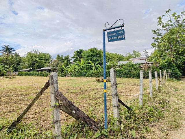 ที่ดิน 903000 ลำปาง เมืองลำปาง บ้านเป้า ที่ดิน 903000 ลำปาง เมืองลำปาง บ้านเป้า