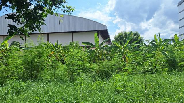 ที่ดิน 7000000 ขอนแก่น เมืองขอนแก่น เมืองเก่า ที่ดิน 7000000 ขอนแก่น เมืองขอนแก่น เมืองเก่า