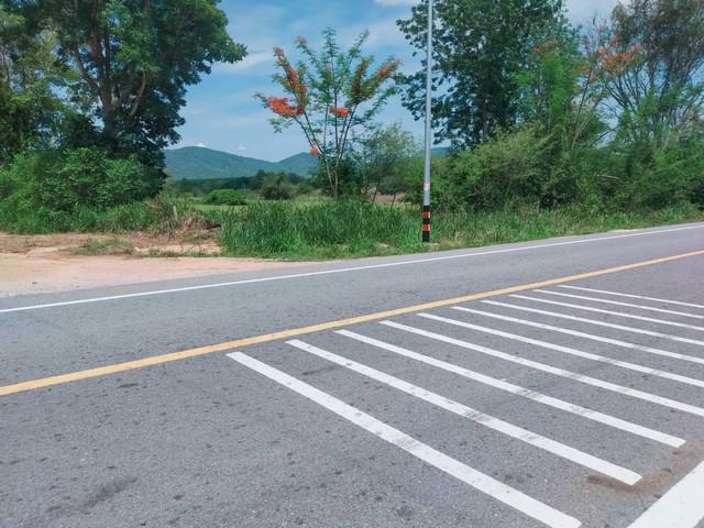 ที่ดิน 900000 ระยอง ปลวกแดง หนองไร่ ที่ดิน 900000 ระยอง ปลวกแดง หนองไร่
