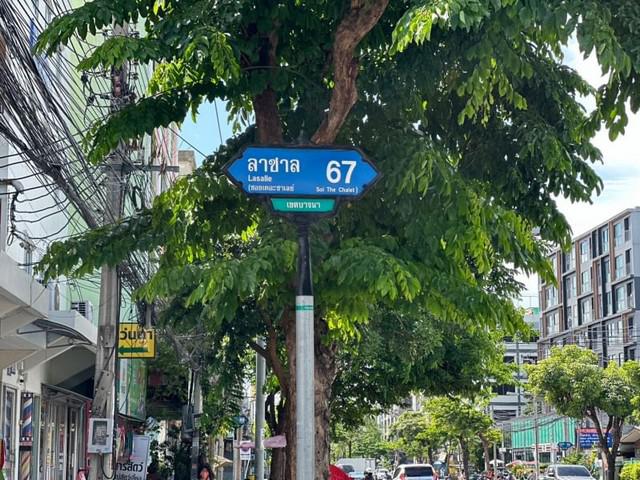 ที่ดิน 8000000 กรุงเทพมหานคร เขตบางนา บางนา ที่ดิน 8000000 กรุงเทพมหานคร เขตบางนา บางนา