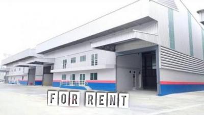 บ้านเดี่ยว 196420 สมุทรปราการ บางบ่อ บางบ่อ