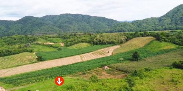 ที่ดิน 250000 เพชรบูรณ์ เมืองเพชรบูรณ์ บ้านโคก ที่ดิน 250000 เพชรบูรณ์ เมืองเพชรบูรณ์ บ้านโคก