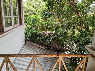 บ้านเดี่ยว 3300000 นนทบุรี บางใหญ่ บ้านใหม่