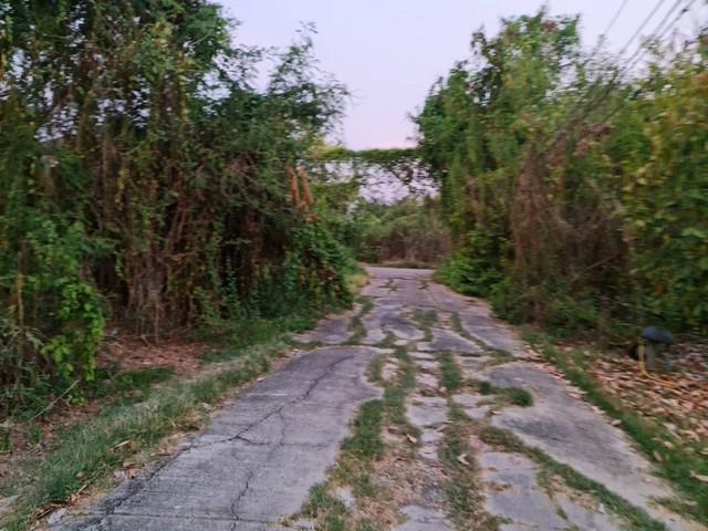 บ้านเดี่ยว 3300000 นนทบุรี บางใหญ่ บ้านใหม่ บ้านเดี่ยว 3300000 นนทบุรี บางใหญ่ บ้านใหม่