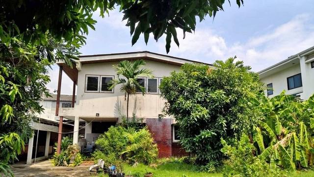 บ้านเดี่ยว 46225000 กรุงเทพมหานคร เขตพระโขนง บางจาก บ้านเดี่ยว 46225000 กรุงเทพมหานคร เขตพระโขนง บางจาก