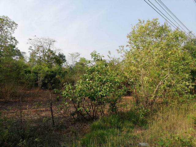 ที่ดิน 300000 ตาก บ้านตาก ตากตก ที่ดิน 300000 ตาก บ้านตาก ตากตก