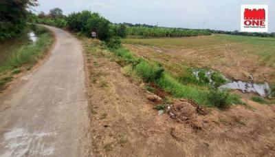 ที่ดิน 4600000 อ่างทอง เมืองอ่างทอง หัวไผ่
