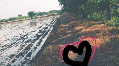 ที่ดิน 800000 ปทุมธานี ลาดหลุมแก้ว บ่อเงิน