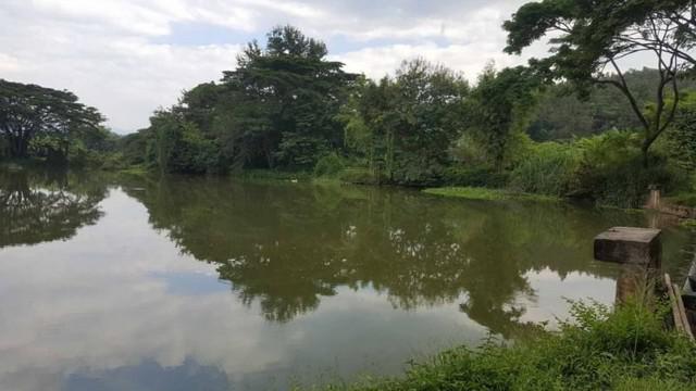 ที่ดิน 2300000 เชียงใหม่ ดอยสะเก็ด แม่โป่ง ที่ดิน 2300000 เชียงใหม่ ดอยสะเก็ด แม่โป่ง