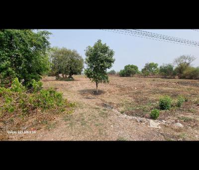 ที่ดิน 19390000 ขอนแก่น เมืองขอนแก่น บ้านหว้า
