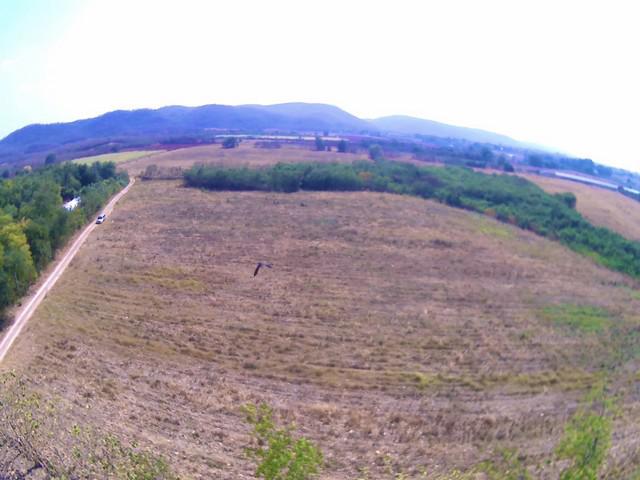 ที่ดิน 6500000 สระบุรี วังม่วง วังม่วง ที่ดิน 6500000 สระบุรี วังม่วง วังม่วง