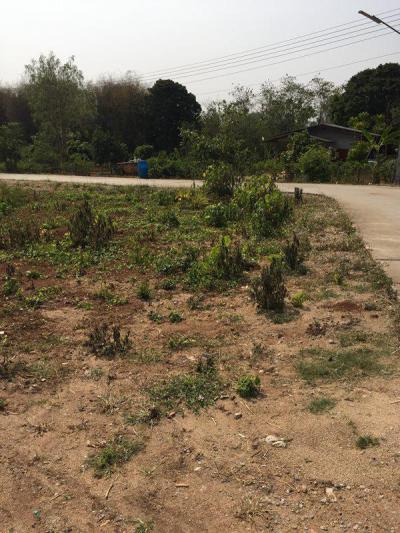 โกดัง 8000000 ปทุมธานี ลำลูกกา ลำลูกกา