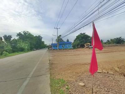 ที่ดิน 790000 ปทุมธานี หนองเสือ บึงชำอ้อ