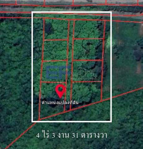 ที่ดิน 5500000 นครราชสีมา ปากช่อง หมูสี ที่ดิน 5500000 นครราชสีมา ปากช่อง หมูสี