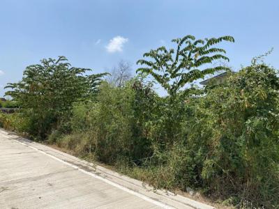 ที่ดิน 1410000 นนทบุรี บางบัวทอง บางบัวทอง