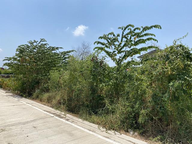ที่ดิน 1410000 นนทบุรี บางบัวทอง บางบัวทอง ที่ดิน 1410000 นนทบุรี บางบัวทอง บางบัวทอง