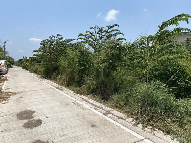 ที่ดิน 1410000 นนทบุรี บางบัวทอง บางบัวทอง ที่ดิน 1410000 นนทบุรี บางบัวทอง บางบัวทอง
