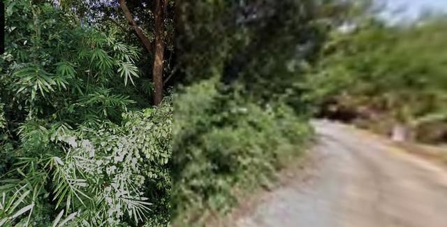 ที่ดิน 35080500 เลย เชียงคาน เชียงคาน ที่ดิน 35080500 เลย เชียงคาน เชียงคาน