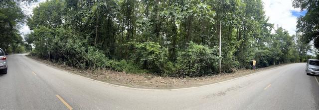 ที่ดิน 28420000 เลย เชียงคาน เชียงคาน ที่ดิน 28420000 เลย เชียงคาน เชียงคาน