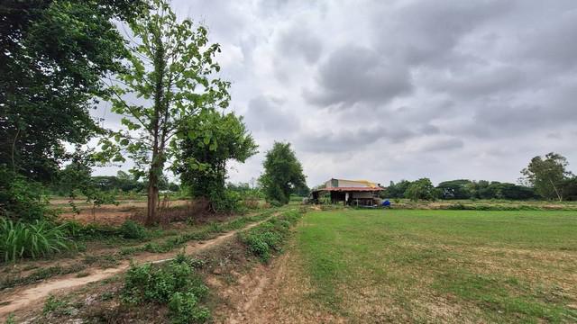 ที่ดิน 22000000 ขอนแก่น บ้านฝาง โคกงาม ที่ดิน 22000000 ขอนแก่น บ้านฝาง โคกงาม