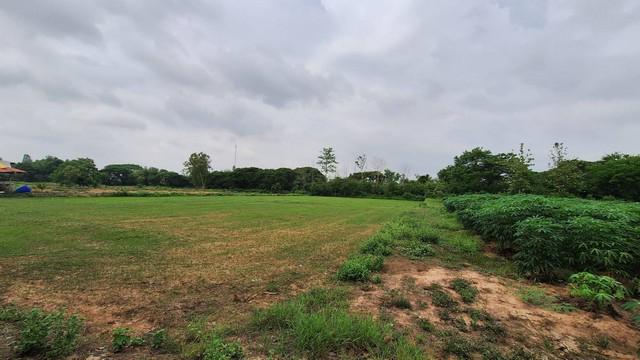 ที่ดิน 22000000 ขอนแก่น บ้านฝาง โคกงาม ที่ดิน 22000000 ขอนแก่น บ้านฝาง โคกงาม