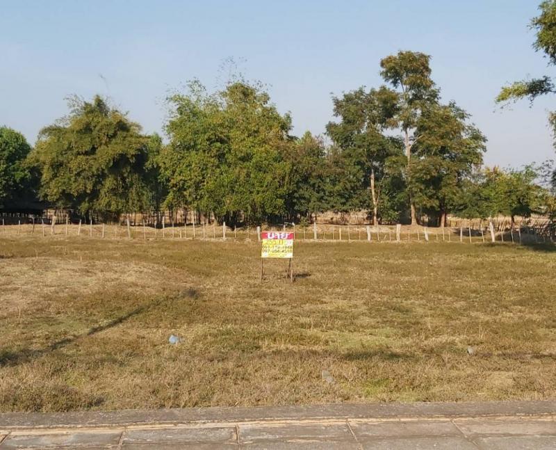 ที่ดิน 4500000 สกลนคร โคกศรีสุพรรณ ตองโขบ ที่ดิน 4500000 สกลนคร โคกศรีสุพรรณ ตองโขบ