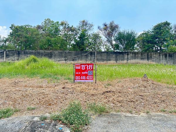 ที่ดิน 1600000 ปทุมธานี สามโคก ท้ายเกาะ ที่ดิน 1600000 ปทุมธานี สามโคก ท้ายเกาะ
