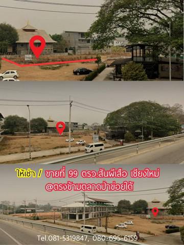 ที่ดิน 8000 เชียงใหม่ เมืองเชียงใหม่ สันผีเสื้อ