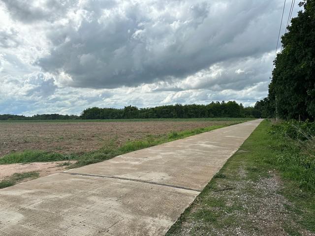 ที่ดิน 350000 พิษณุโลก เมืองพิษณุโลก บ้านป่า ที่ดิน 350000 พิษณุโลก เมืองพิษณุโลก บ้านป่า