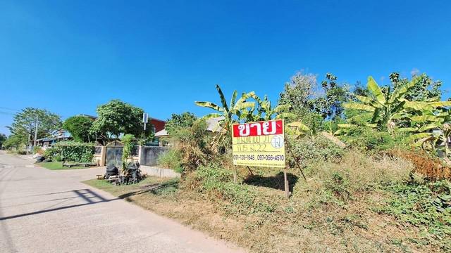 ที่ดิน 1300000 ขอนแก่น เมืองขอนแก่น บ้านเป็ด ที่ดิน 1300000 ขอนแก่น เมืองขอนแก่น บ้านเป็ด