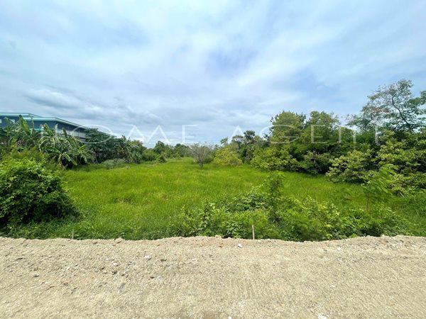 ที่ดิน 1200000 ลพบุรี เมืองลพบุรี ท่าศาลา ที่ดิน 1200000 ลพบุรี เมืองลพบุรี ท่าศาลา