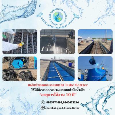 อื่นๆ 4850 เชียงใหม่ ดอยสะเก็ด